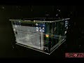 Beryl/Xgl on openSUSE 10.2 v2