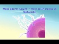 Male Sperm Count  How to Increase It Naturally