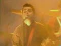 she video - green day (live without warning)