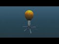 water_buoy.flv