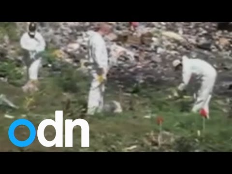 Missing 43 students in Mexico 'all kidnapped, killed and burned'