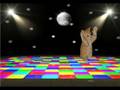 The Meow Dance!