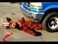 VIOLENT and AWESOME Credit Union Commercial!
