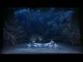Waltz of the Snowflakes - Nutcracker