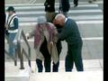 videos de 21092008    