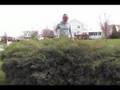 Killer Bush III- the scrached face