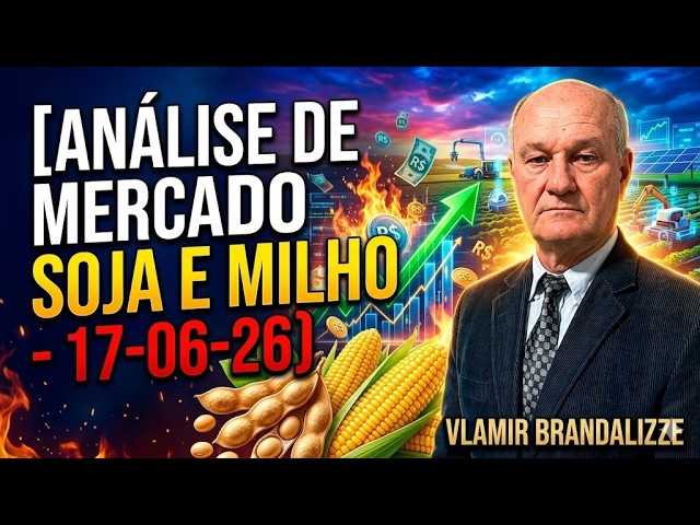 Milho e Soja: Variação de Preços que Preocupa o Produtor.