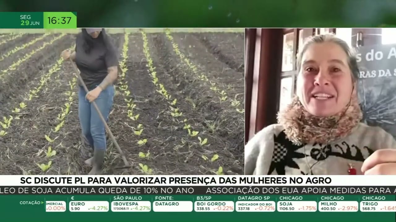 SC discute PL para valorizar presença das mulheres no agro