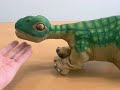 PLEO??????1