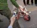 Daneshjoo (student) - دانشجو