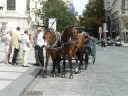 Praha 8.7.2008