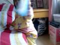 videos de New PJ but too small.3gp
