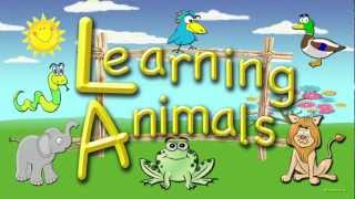 For Toddlers - Learning Animals, An Educational Video For Preschoolers