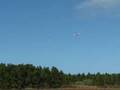 Inverted Hovering