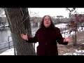 dispatches-holy-offensive-25.html
