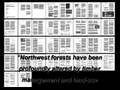 clearcutting shasta 2