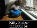 videos de Which image is funnier?