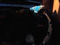 Staffordshire Bull Terrier,45 dias Staffordshire Bull Terrier,45 dias