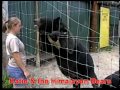 izledim: With a Girl of Himalaya - puanım: 7/10