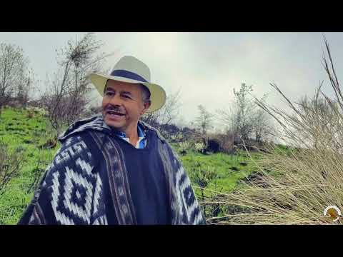 Nayerly Rosmary García Delgado, Gisseth Mariana Saavedra Álvarez, Mariana Briggitti Gómez Zambrano y María Camila Correa Gómez