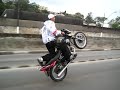 lokos no Grau lokos no Grau