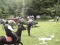 videos de Veselica v podolnici