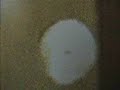 Gate343 univercity of thessaly architecture video art