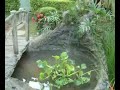 www.arteepaisagismo.com Trabalho e Execução Baiano Arte e Paisagismo - Trabalho realizado na residência de Robson (Banho e Tosa) de Catanduva-Sp  Lagos, Ornamentais, Fontes Cascatas, Pontes, Natureza 