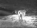 Lions on Africam