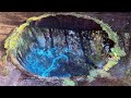 柿田川湧水の神秘：エメラルドグリーンの名水を巡る旅