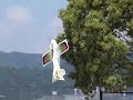 Low-flying aircraft buzzes Osaka Low-flying aircraft buzzes Osaka
