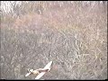 Radio control Spitfire, crash landing