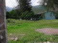 Agencia Santa Catarina, Tonala.