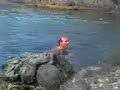 franco pupo nero - tuffo a casciolu