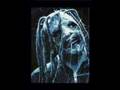 corey taylor and tim lambesis