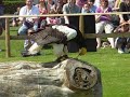 Da (Steller's Sea) Eagle has landed... Da (Steller's Sea) Eagle has landed...