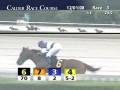 videos de CALDER RACE COURSE, 2008-12-01, Race 3