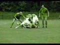 AZS AWF Katowice - RUGBY