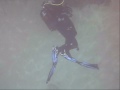 NARCOSIS TEAM IX