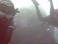 NARCOSIS TEAM IX
