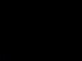 le voci di dentro