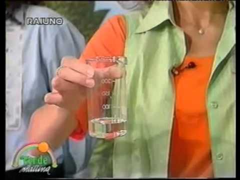 FLORA Srl - Pisa - ROSMARINO E SALVIA - Verde Mattina - Raiuno