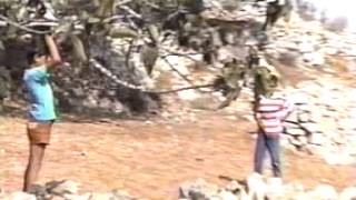 قرية الجيب سنة 1991 وترى كيف كانت النوادر فاضية