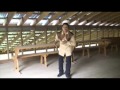 Adolfo Santizo -- Cuatro Caballos