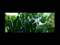 WYP 3- Rap Symfonia