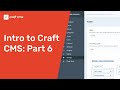 Craft Cms Get Entries By Field Value