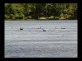 Pocono Landing