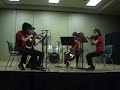 icy peaks, a re-mix by justus johnson from the site ocremix.org on the piece deep mountain from the game perfect cherry blossom (part of the touhou series), performed live by quintessence at the 2008 ai-kon 