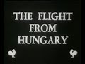 Hungarian Revolution Refugees Newsreel