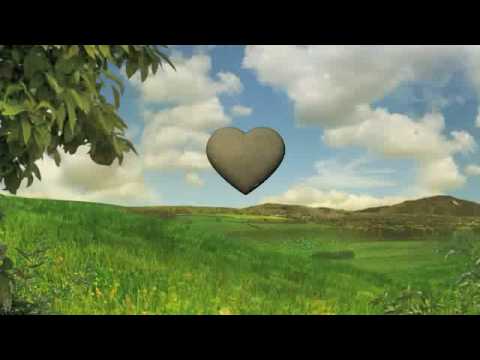 Picnic 2009 Promotional video